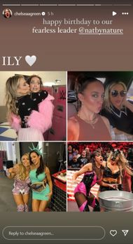 Chelsea Green's birthday wishes for Natalya (Photo credits: Green's Instagram Story)